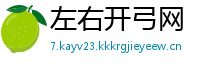 左右开弓网